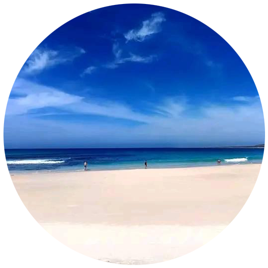 coaching liberté professionnelle